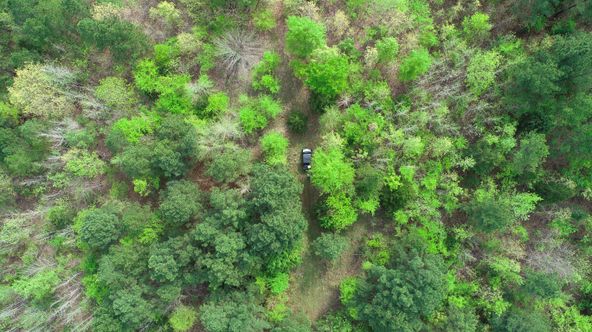 Farris 115 Timber: 00 CR 2215, Daingerfield, TX 75638